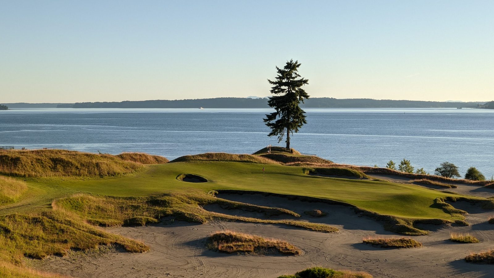 A links green above the water at low sun, one tree on the point